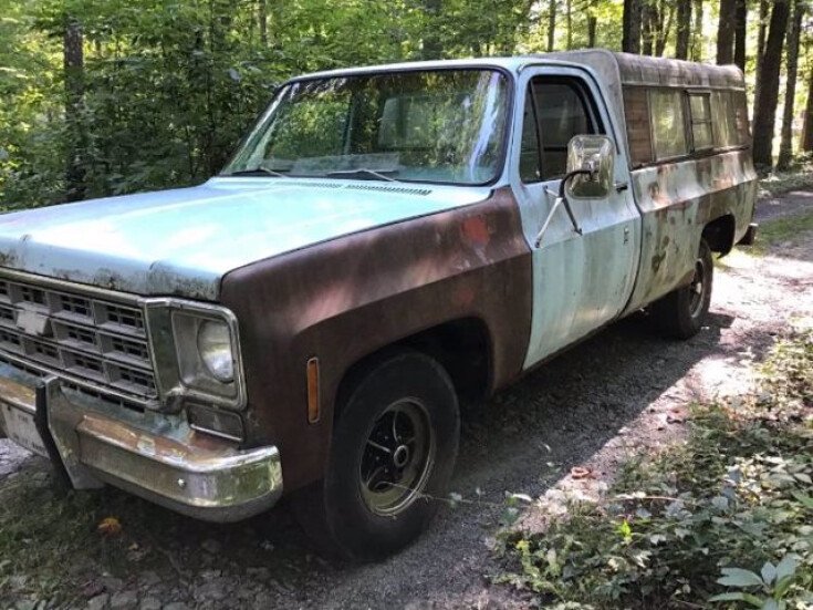 Photo for 1977 Chevrolet C/K Truck